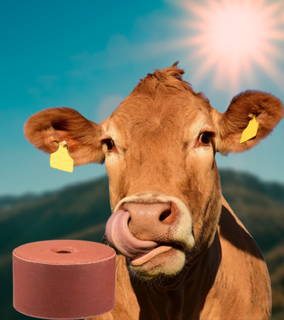 Licking Blocks — 3 products