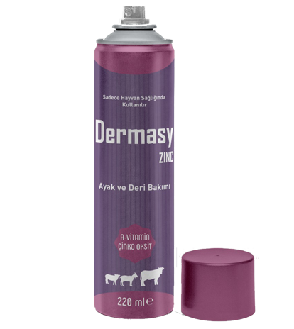 Dermasy_Zınc Spre