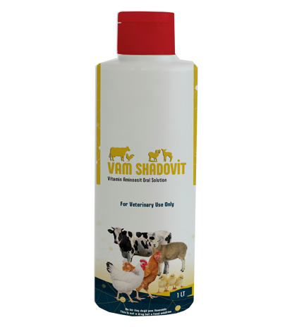 VAMSHADOVIT ORAL SOLUTION